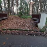 Санаторий Введенское, фото гостя