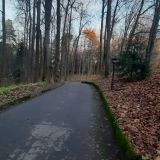 Санаторий Введенское, фото гостя