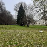 Санаторий Введенское, фото гостя