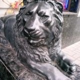 Санкт-Петербург, фото отдыхающего в ноябре