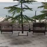 Курортный отель COOCOOROOZA, фото гостя