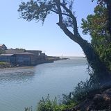 Гостевой дом Идиллия, фото гостя