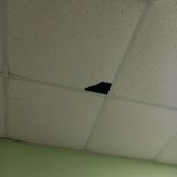 Хостел Авиатор у Трех вокзалов, фото гостя