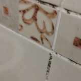 Гостевой дом Планета, фото гостя