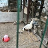 Гостевой дом Диадема Шереметьево, фото гостя