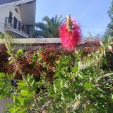 Гостевой дом Лаура, фото гостя