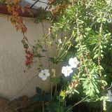 Гостевой дом Лаура, фото гостя