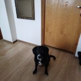 Гостиница Роза Ветров, фото гостя