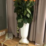 Отель ibis Краснодар Центр, фото гостя