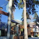 Отель Tash Maral, фото гостя