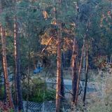 Санаторий Русский бор, фото гостя