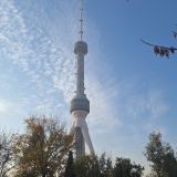 Ташкент, фото отдыхающего в ноябре