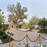 Ташкент, фото отдыхающего в ноябре