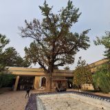 Ташкент, фото отдыхающего в ноябре