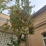 Ташкент, фото отдыхающего в ноябре