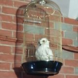 Гостевой дом Платформа 9 3/4, фото гостя