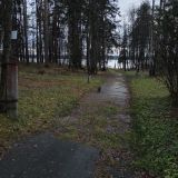 Загородный отель Тихий лес, фото гостя