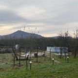 Гостевой дом Тхач от Травел Хотелс Антураж, фото гостя