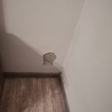 Отель Мечта, фото гостя