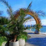 Ялта, фото отдыхающего в ноябре