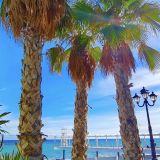 Ялта, фото отдыхающего в ноябре