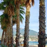 Ялта, фото отдыхающего в ноябре