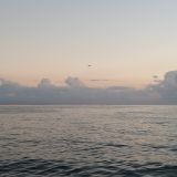 Адлер, фото отдыхающего в октябре