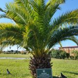 Адлер, фото отдыхающего в октябре