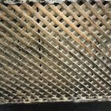 Гостиница БуддОтель Москва, фото гостя