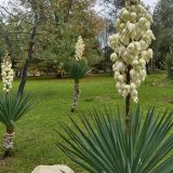 Адлер, фото отдыхающего в ноябре