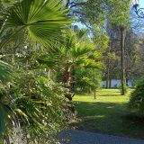 Адлер, фото отдыхающего в ноябре