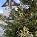 Гостиничный комплекс Подсолнухи, фото гостя