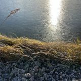 Гостиничный комплекс Подсолнухи, фото гостя