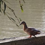 База отдыха Затерянный остров, фото гостя