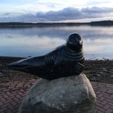 Республика Карелия, фото отдыхающего в ноябре