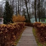 Парк-Отель 4 сезона, фото гостя