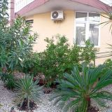 Kiparis Resort by Stellar Hotels, фото гостя