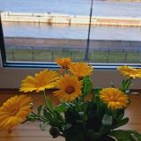 Отель Особняк Молво, фото гостя