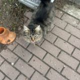 Гостевой дом На Верхне-Береговой, фото гостя