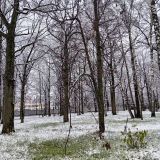 Центральная Россия, фото отдыхающего в ноябре