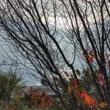 Гостевой дом Крым. Ностальжи, фото гостя