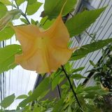 Гостевой дом Лаура, фото гостя