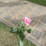 Гостевой дом Лаура, фото гостя