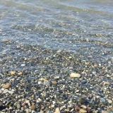 Гостевой дом Лаура, фото гостя