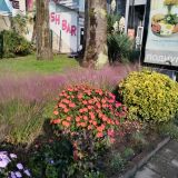 Кубань, фото отдыхающего в ноябре