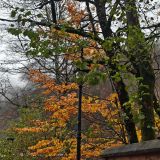 Санаторий Green Flow Роза Хутор, фото гостя