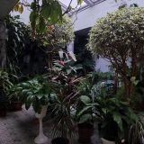 Гостиница Кочубей-Центр, фото гостя