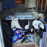 Хостел Мама я в гостях, фото гостя