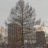 Хостел ДобролюбовЪ, фото гостя