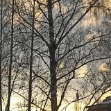 Хостел ДобролюбовЪ, фото гостя